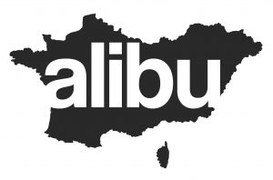 Copy of logo alibu 2012